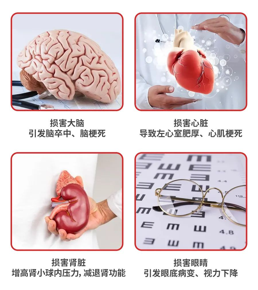 1713507669118683.png 640.png